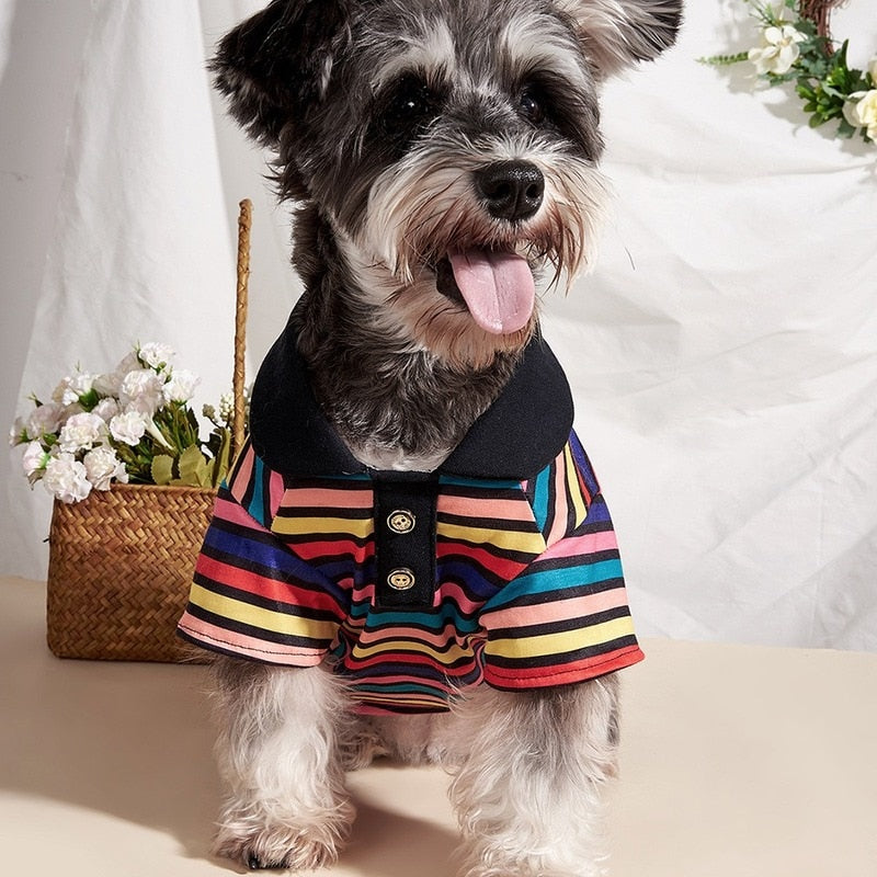 This classy Striped Rainbow Polo Dog Shirt is a great addition to your buddy's wardrobe. 