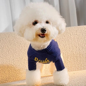 Front view of a Poodle wearing Louis Vuitton-Inspired Designer Dog Sweater
