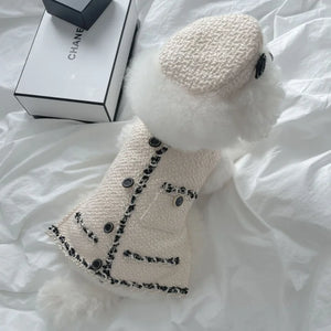 Maltipoo wearing Chic Chanel-esque Hat & Dog Dress in off-white with black lace trim and buttons.
