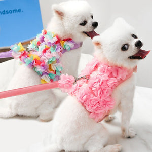 Flower Dogs Harness & Leash Set fits small dogs like Pomeranian and comes in two colors, pink or pastel rainbow.