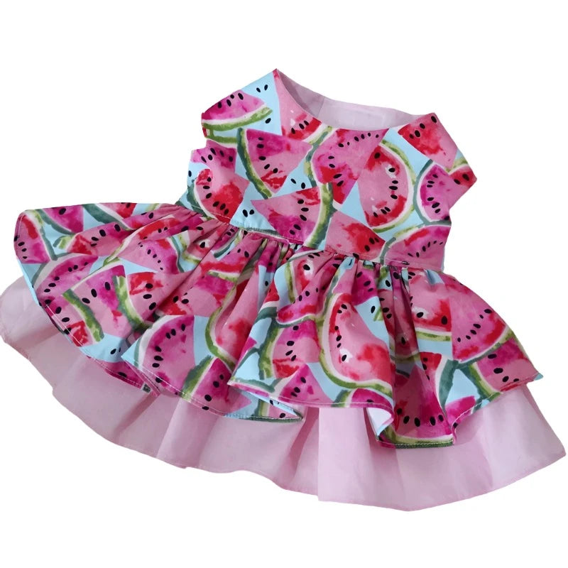 Summer Watermelon Light Pink Ruffled Dog Dress fits small dogs like this Schnauzer