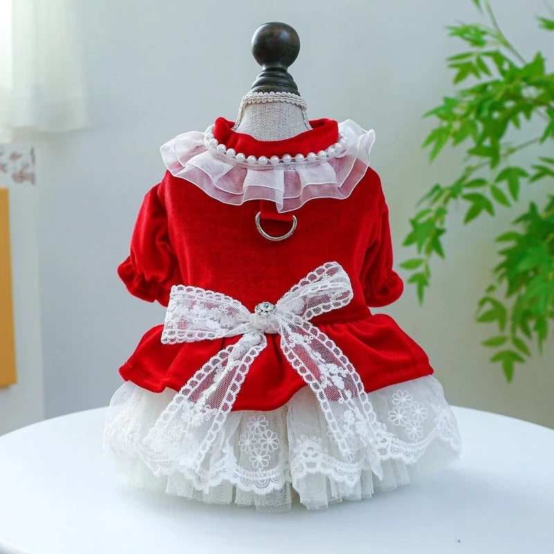 Toy Poodle wearing Red Velvet & Lace Holiday Party  Dog Dress