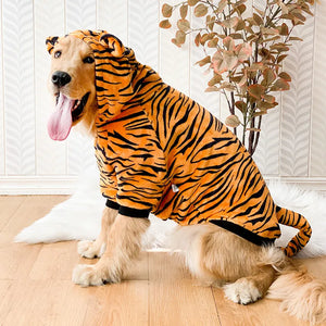 Golden retriever modeling Large Dog Tiger Costume/PJs