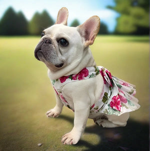 Floral Hibisucus French Bulldog/Pug Dog Dress has bow and tulle underskirt.