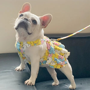  French Bulldog/Pug Pastel Ducks Dog Harness Dress and Leash Set