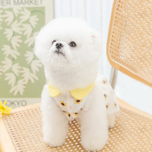 Yellow Daisy Dog Dress on Bichon has 3 snap buttons for easy on/off
