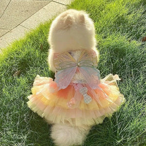 Pomeranian wearing Enchanting Butterfly Dog Dress