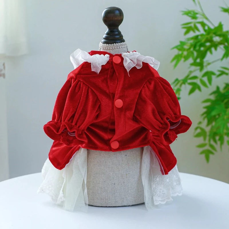 white christmas dresses Red Velvet & Lace Holiday Party Dog Dress | Poshdoglife.com