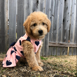 Puppies look gorgeous in our Spades Dog Party Dress.