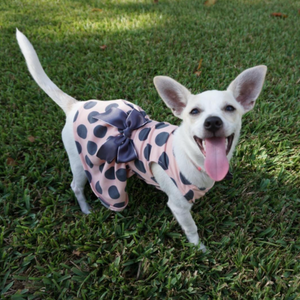 Gray Polka Dot Party Dress is perfect for small breed dogs.