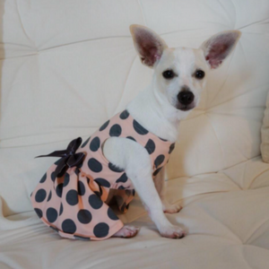 Gray Polka Dot Party Dress is perfect for small breed dogs.
