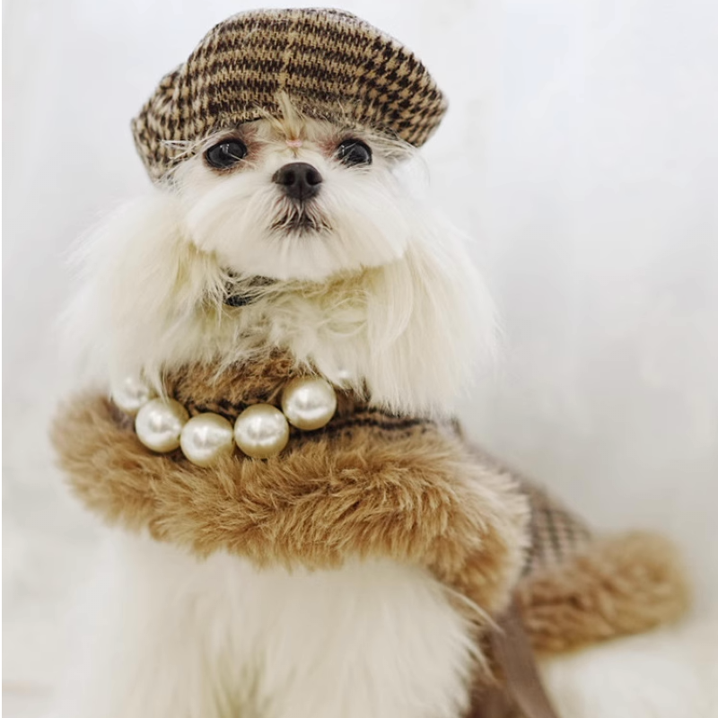 Maltese wearing Tres Chic Brown Tweed Dog Coat, Cap & Leash Set