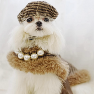 Maltese wearing Tres Chic Brown Tweed Dog Coat, Cap & Leash Set