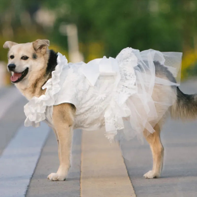 Big Dog Frilly Wedding Dress in white