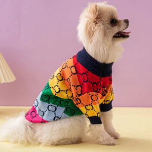 Pomeranian wearing Luxury Designer-Inspired Gucci Rainbow Logo Sweater.