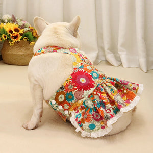 Colorful Daisies French Bulldog/Pug Dog Dress