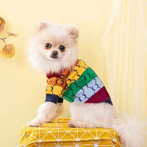 Luxury Designer-Inspired Gucci Rainbow Logo Sweater on a Pomeranian.