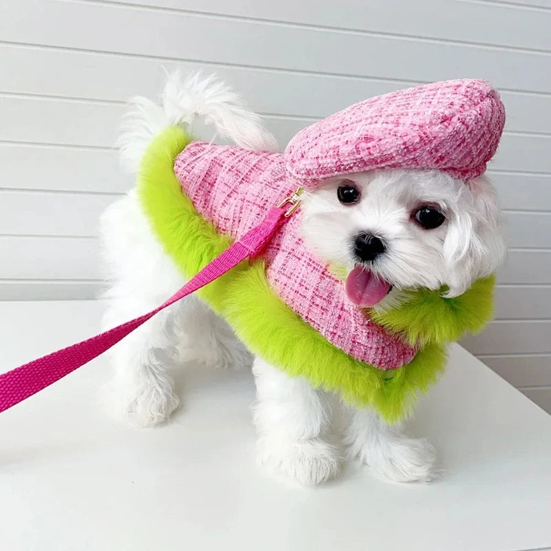 Maltese in Tres Chic Pink and Lime Tweed Coat, Beret Cap and Leash Set. 