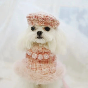 Maltese wearing Tres Chic Pink Tweed Dog Coat, Cap & Leash Set