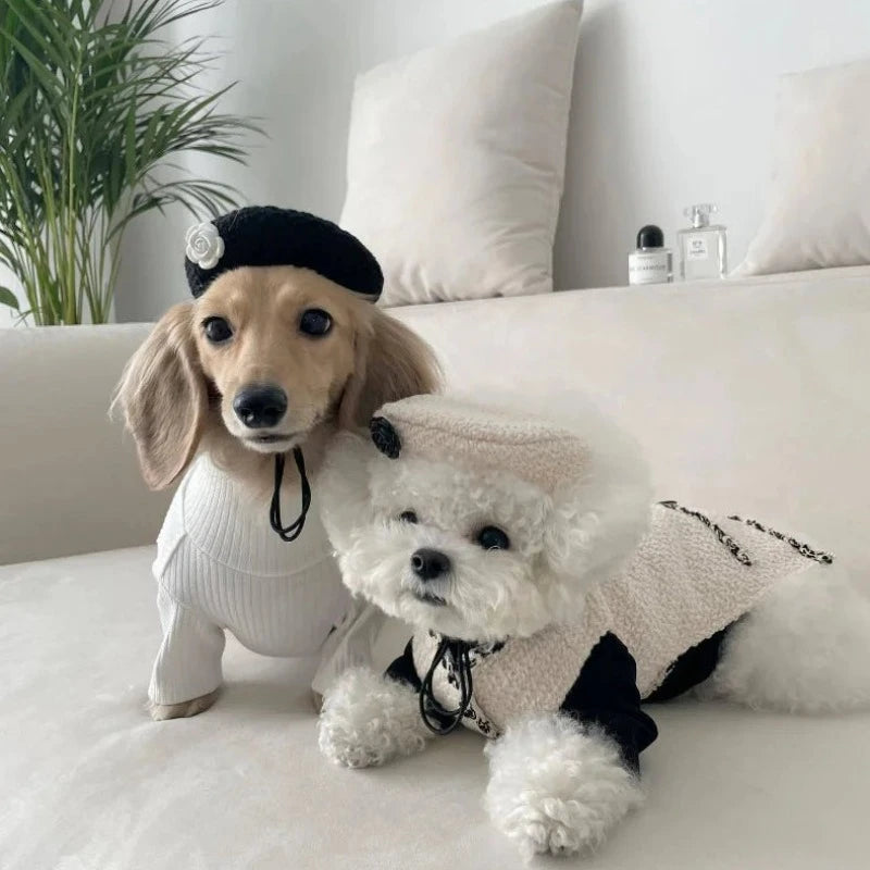 Beret dog cap comes in white or black, and is adorned with a rose flower.