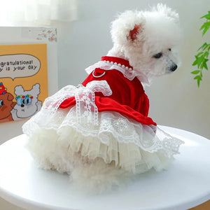 Toy Poodle wearing Red Velvet & Lace Holiday Party  Dog Dress, which has a D-ring for leash attachment