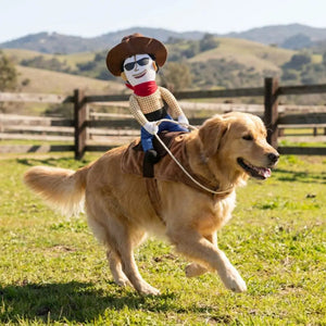 A golden retriever runs across a grassy field wearing a brown saddle blanket, with a cowboy doll riding on its back. The background shows a wooden fence and rolling hills under a bright sky.