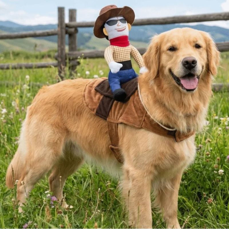 A golden retriever dog stands in a grassy field wearing a brown saddle-style harness, with a cowboy doll seated on its back. 