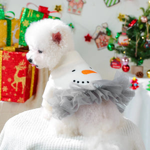 Dog with snowman costume in a festive setting with Christmas decorations
