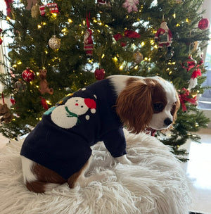 Cavalier wearing snowman dog sweater