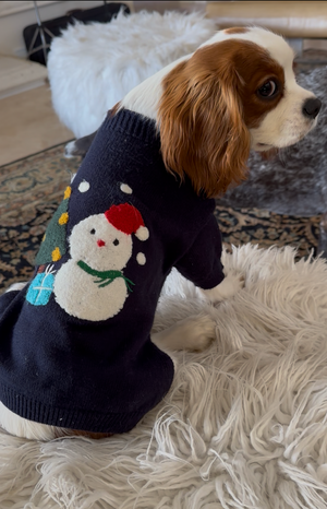 Cavalier in navy snowman dog sweater