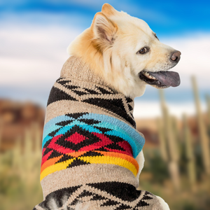 Dog wearing a colorful sweater with a pattern, standing outdoors.