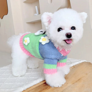 Spring Pastures Pastel Cow Sweater with Daisy Flowers fits small dogs like Bichon.