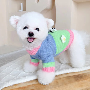 Spring Pastures Pastel Cow Sweater with Daisy Flowers fits small dogs like Bichon.