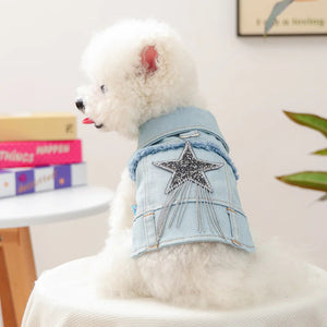 Small white dog wearing a denim outfit with a star design on a white surface.