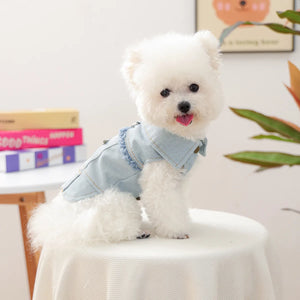 Stylish Fringed Denim Dog Jacket with Star Embroidery