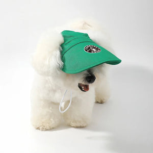 White dog wearing a green cap on a white background