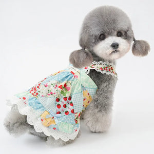 Strawberry Patchwork Dog Dress in blue on Toy Poodle