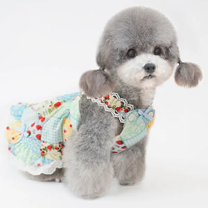 Strawberry Patchwork Dog Dress in blue on Toy Poodle (side view).