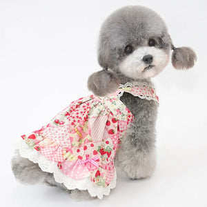 Strawberry Patchwork Dog Dress in pink on a Toy Poodle