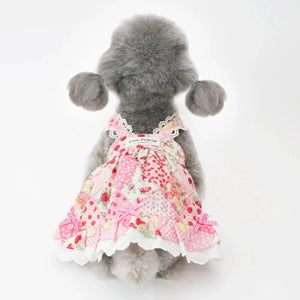 Strawberry Patchwork Dog Dress in pink on Toy Poodle (back view)