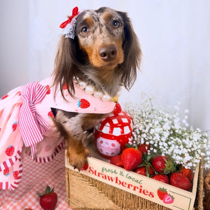 Pink dog dress with strawberry pattern and large bows on a mannequin against a white background