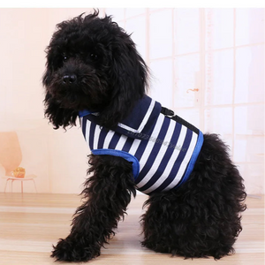 Black dog wearing a blue and white striped harness