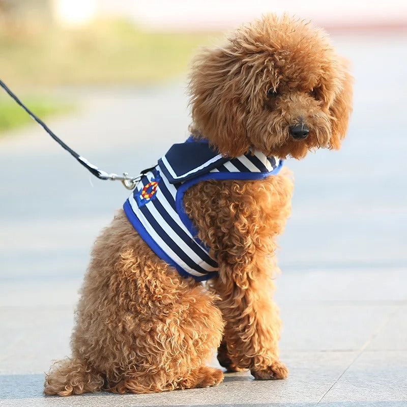 Two dog harnesses with red and blue accents, featuring anchor designs, on a white background.