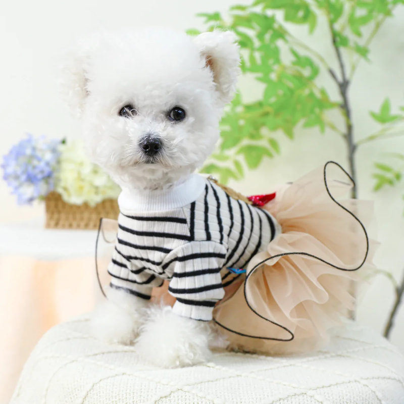 Striped Teddy Bear Dog Dress featres a brown bear with a red polka dot bow and beige tulle skirt.