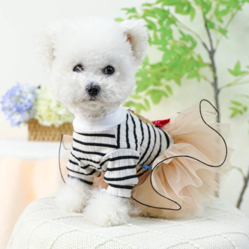 Striped Teddy Bear Dog Dress | Poshdoglife.com - Posh Dog Life Striped Teddy Bear Dog Dress | Poshdoglife.com - Posh Dog Life