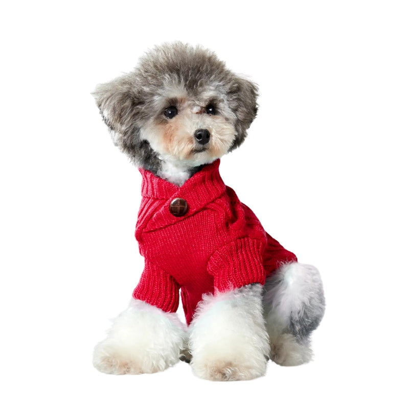 Cavapoo wearing Red Cross Neck Button Cable Knit Dog Sweater