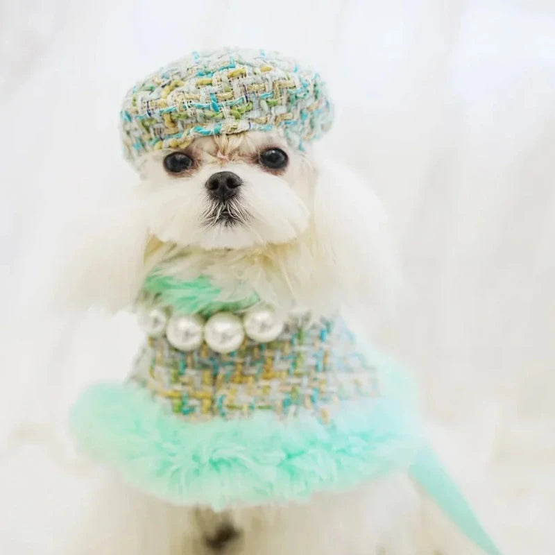 Maltese wearing Tres Chic Aqua Tweed Dog Coat, Cap & Leash Set.