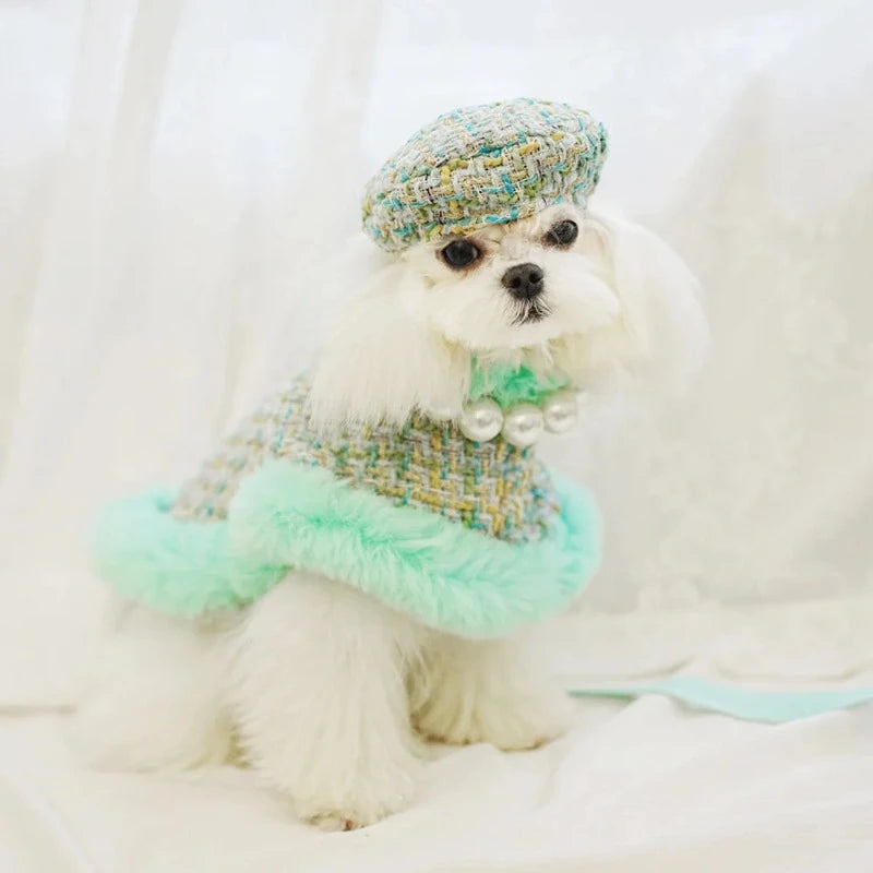 Maltese wearing Tres Chic Aqua Tweed Dog Coat, Cap & Leash Set.
