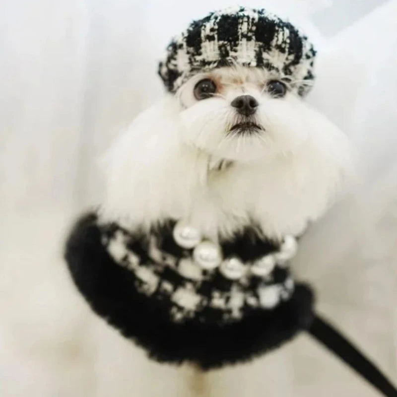 Matlese wearing the Tres Chic Black Houndstooth Dog Coat, Cap & Leash Set.