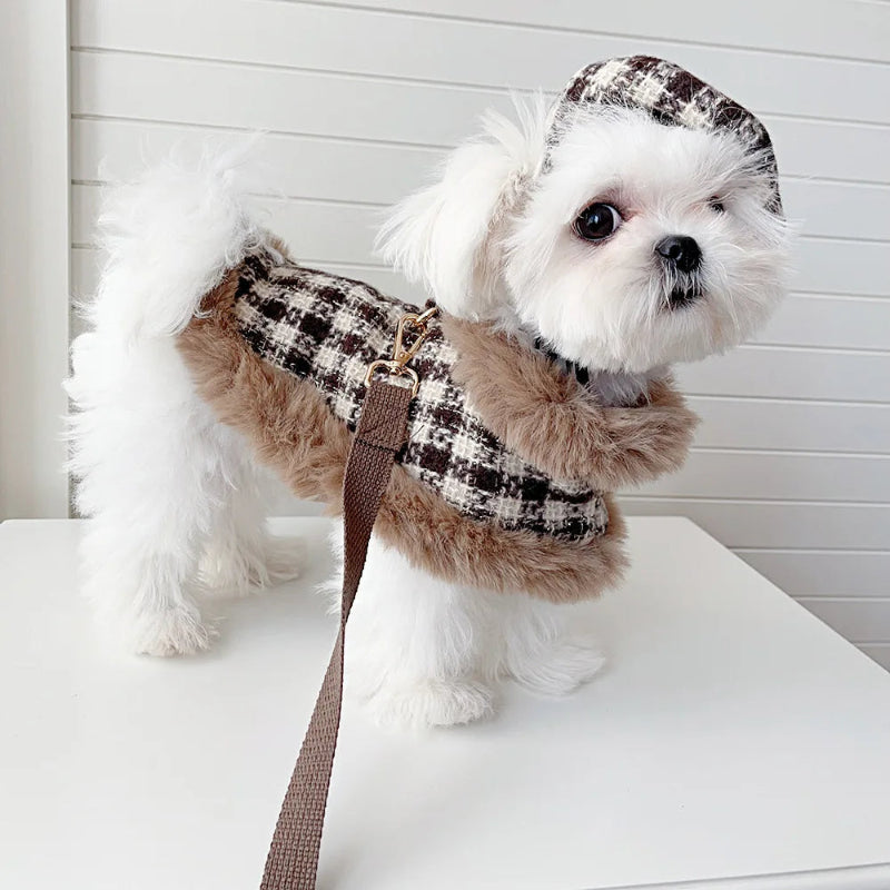Dog Apparel Autumn/Winter Collection | Poshdoglife.com - Posh Dog Life Dog Apparel Autumn/Winter Collection | Poshdoglife.com - Posh Dog Life